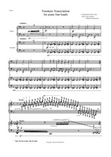 Franz Liszt / Duo Tsuyuki & Rosenboom Totentanz Transcription for piano 4 hands
